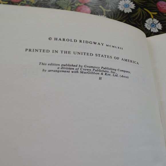 Kite Making and Flying - Picture 4 of 4